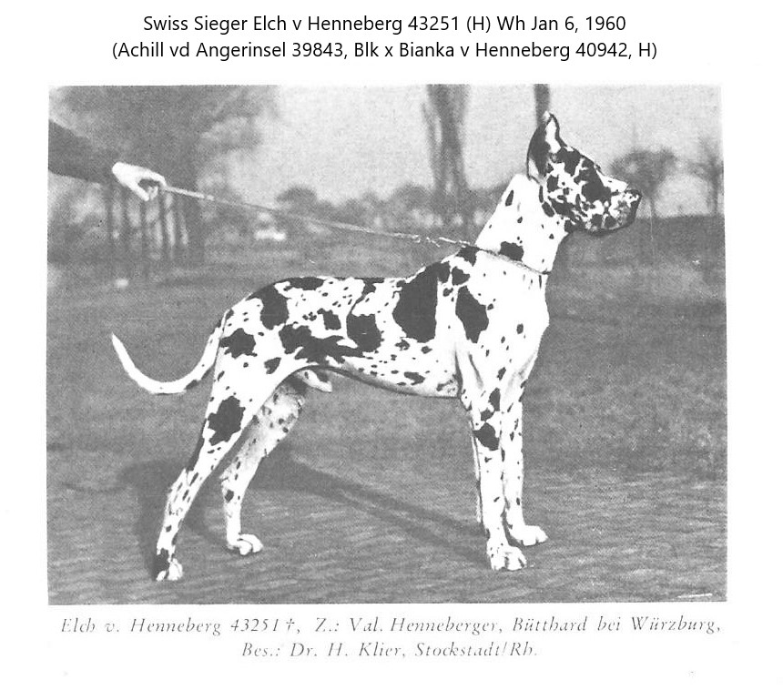 Elch v Henneberg